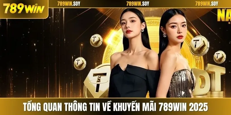 Tổng quan thông tin về khuyến mãi 789WIN 2025